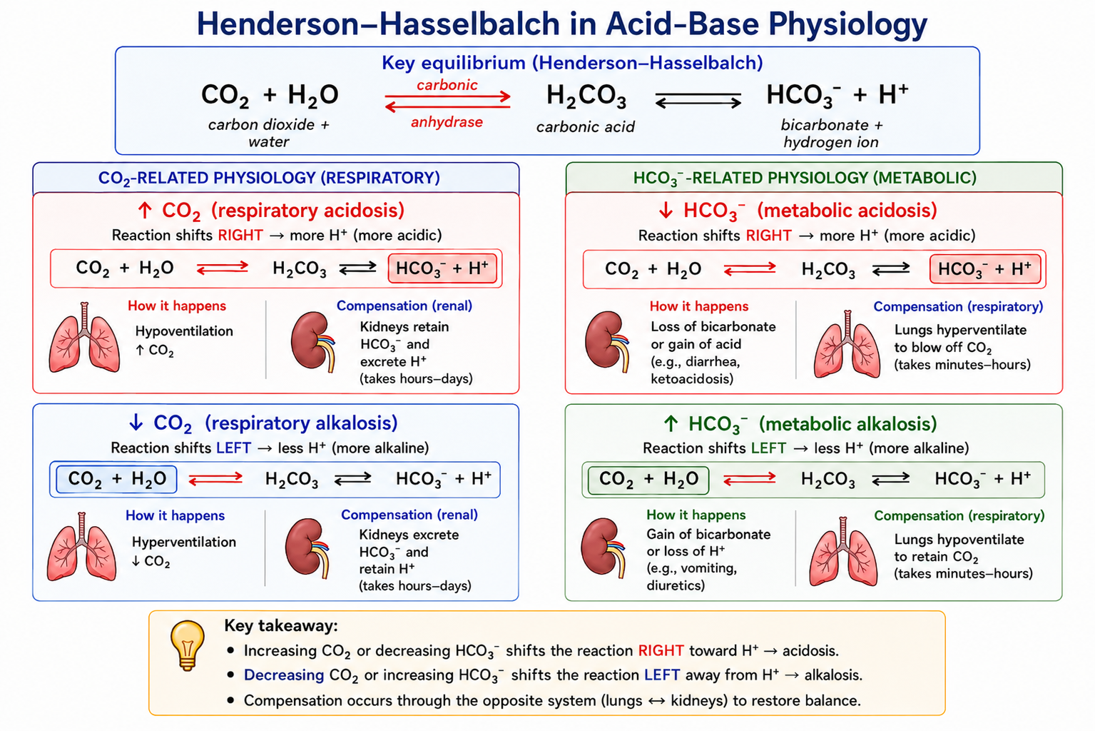 HH_acid_base