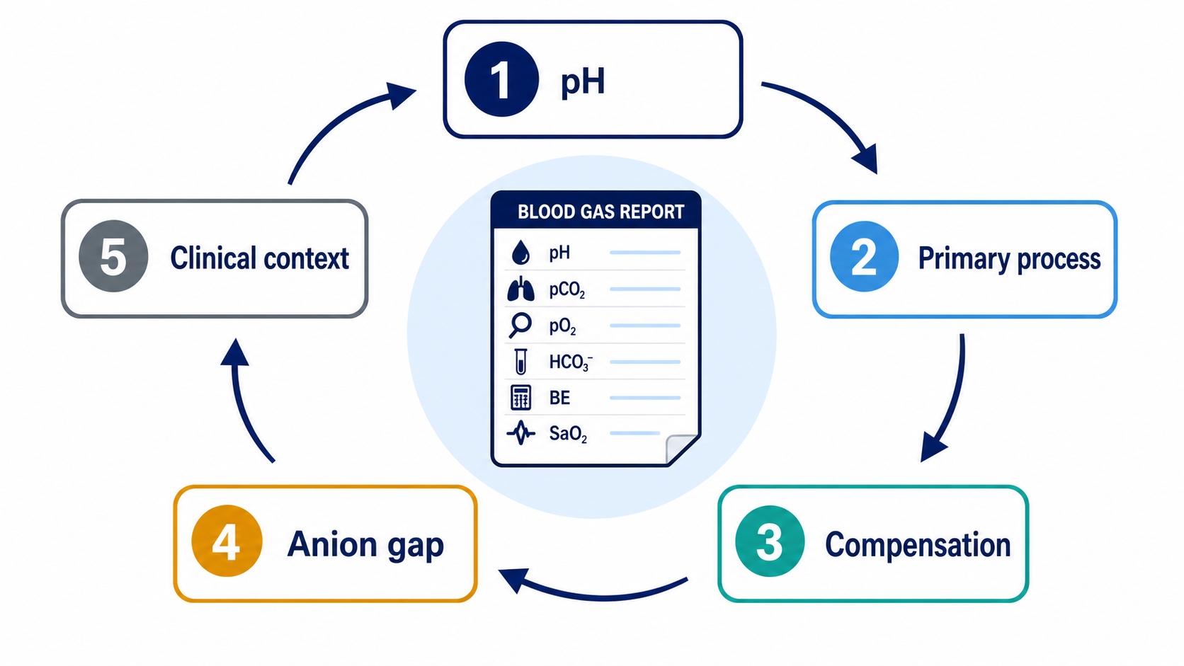 Five-step blood gas interpretation cycle: pH, primary process, compensation, anion gap, and clinical context